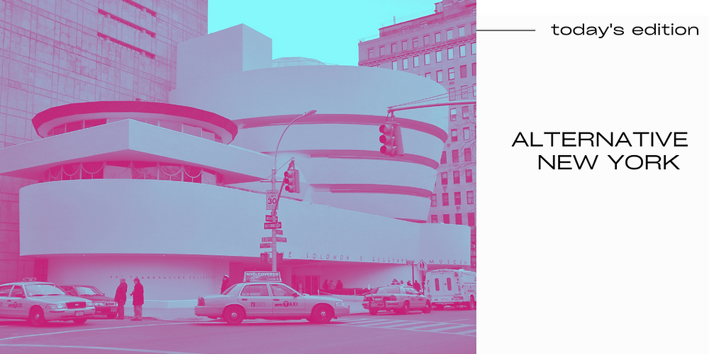 New York Alternative Visions
