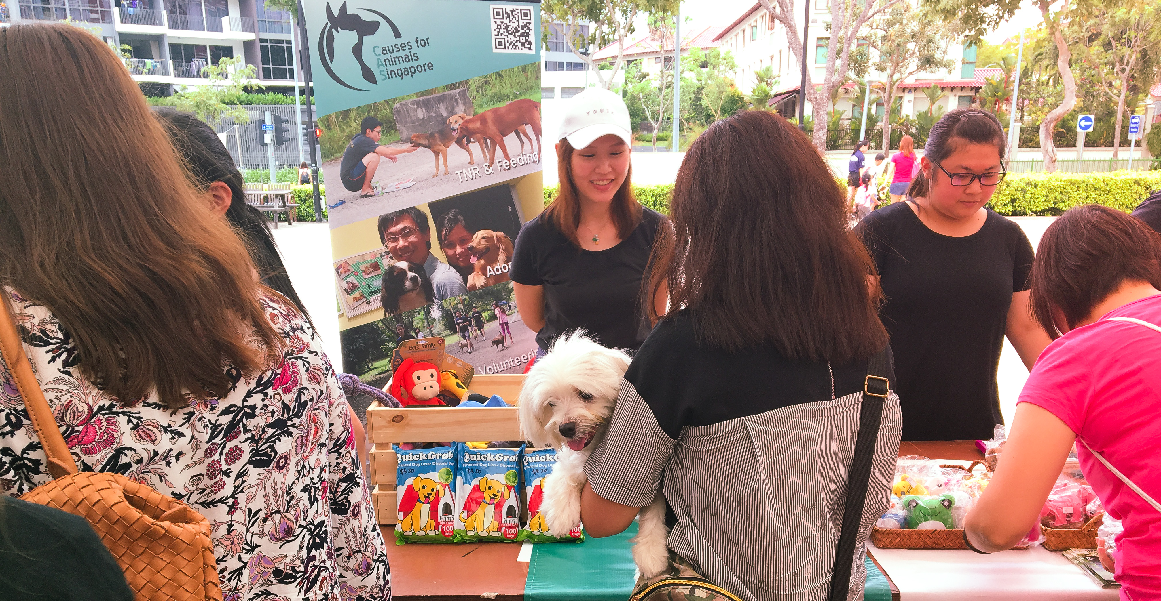 Adoption Drive 2017 - Singapore 10