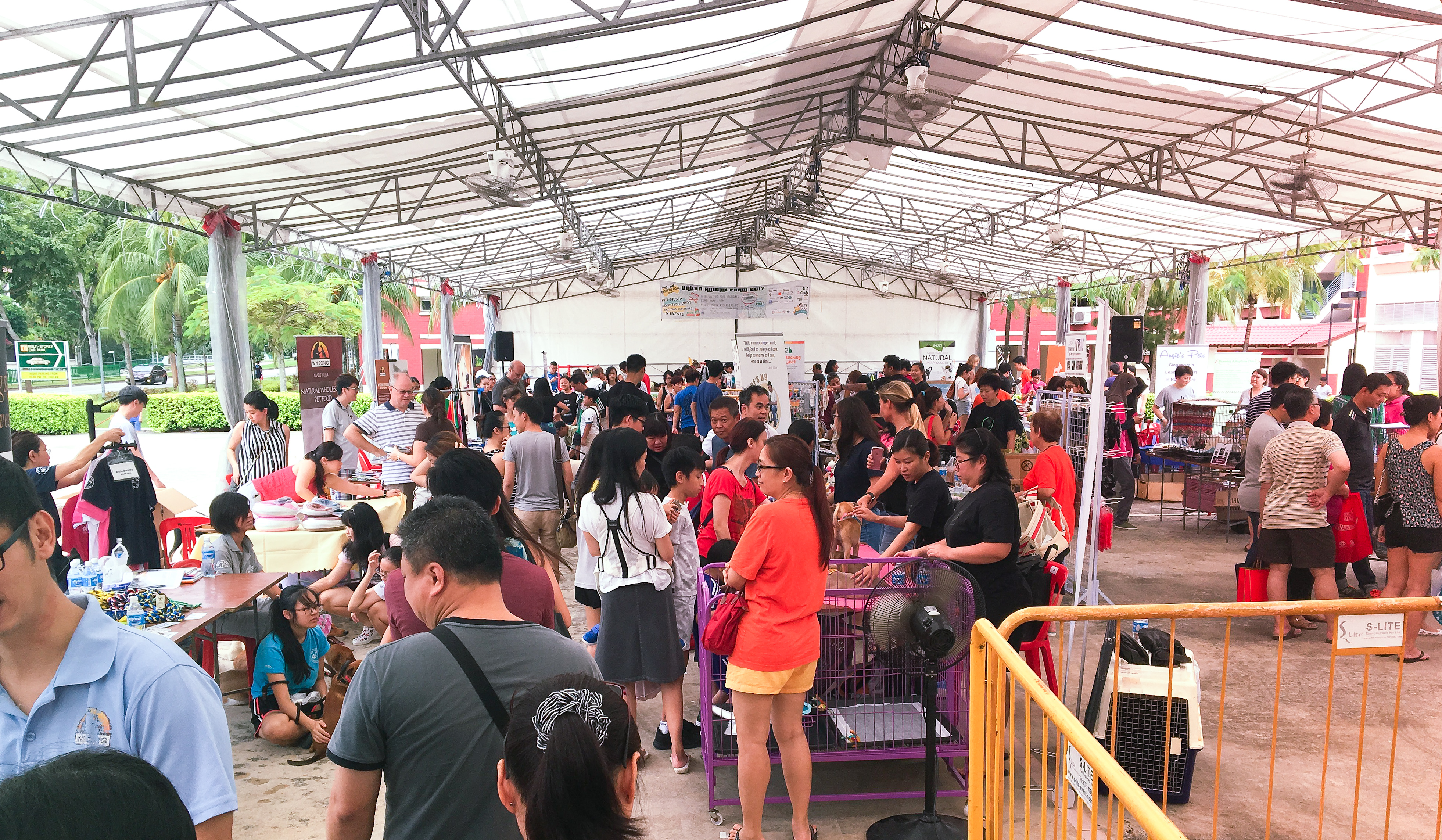 Adoption Drive 2017 - Singapore 5