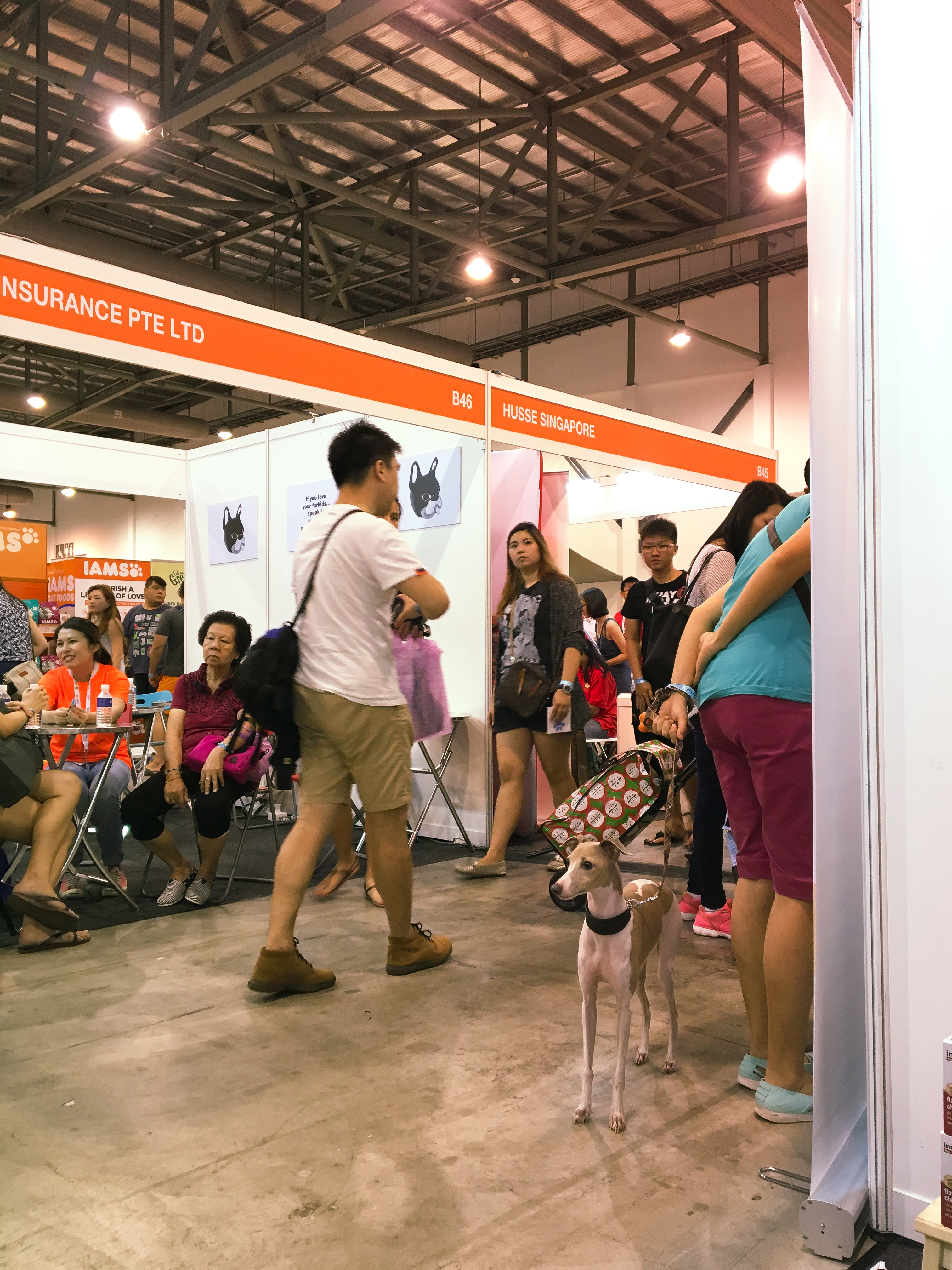 Pet EXPO 2016 - Singapore 13