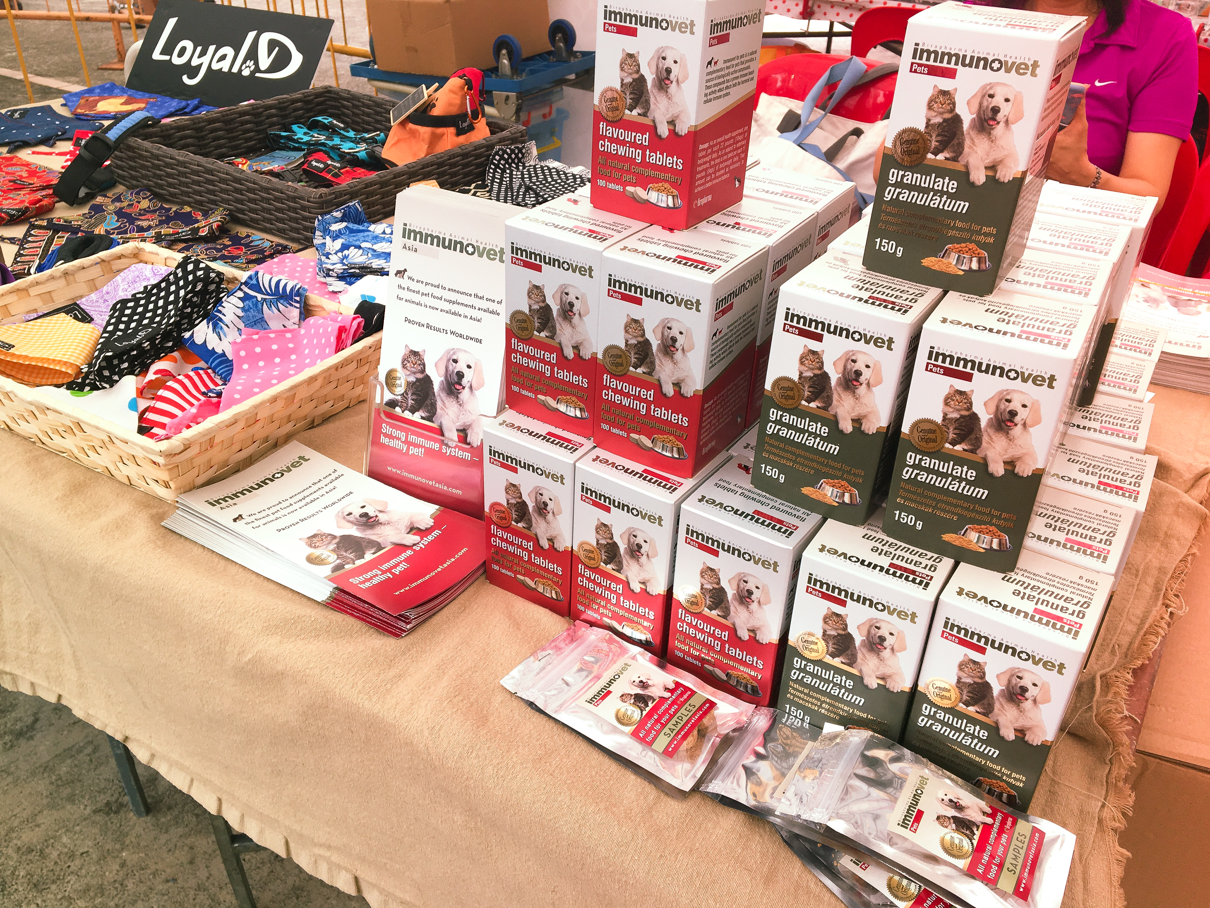 Adoption Drive 2017 - Singapore 11