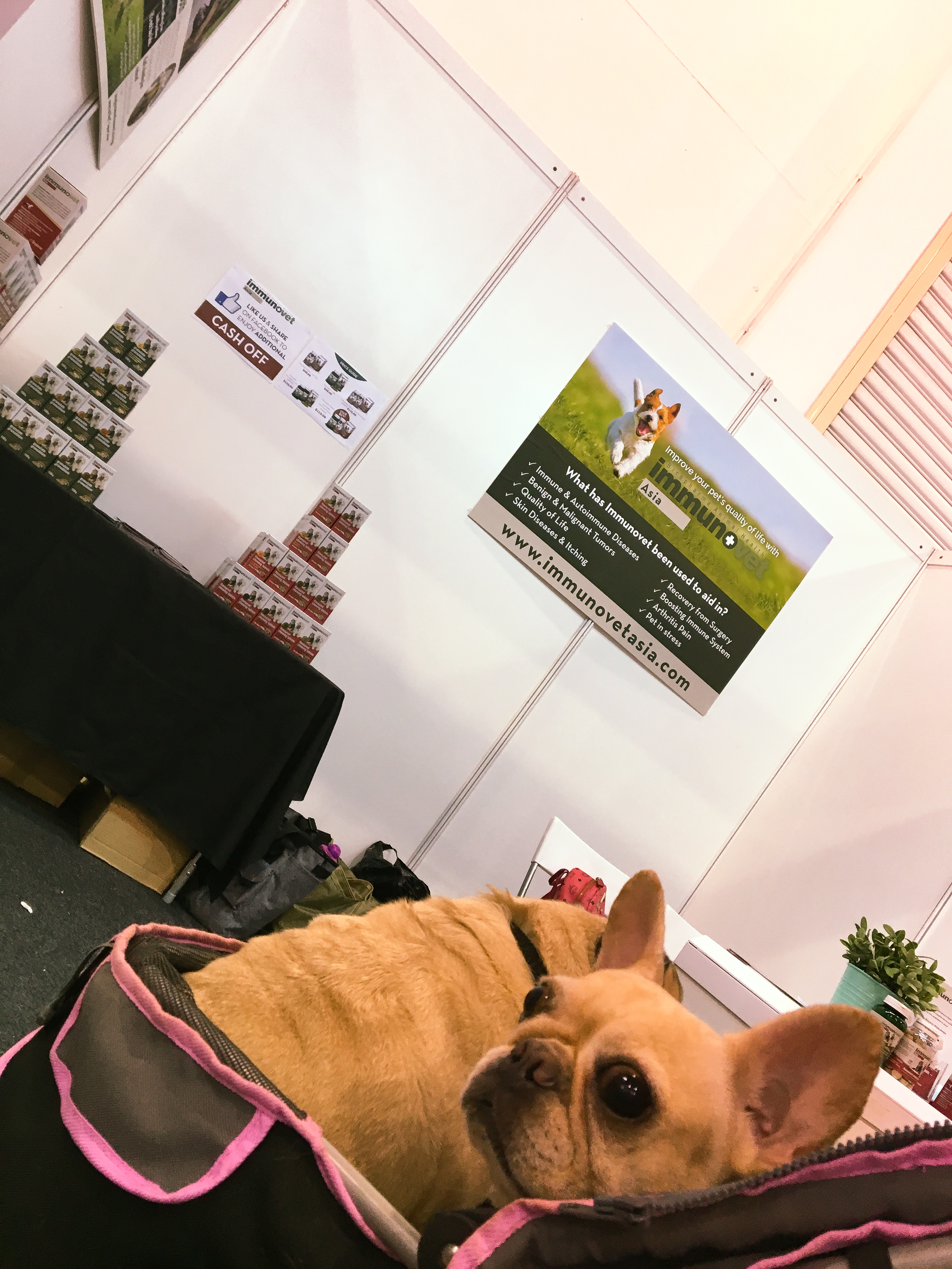 Pet EXPO 2016 - Singapore 16