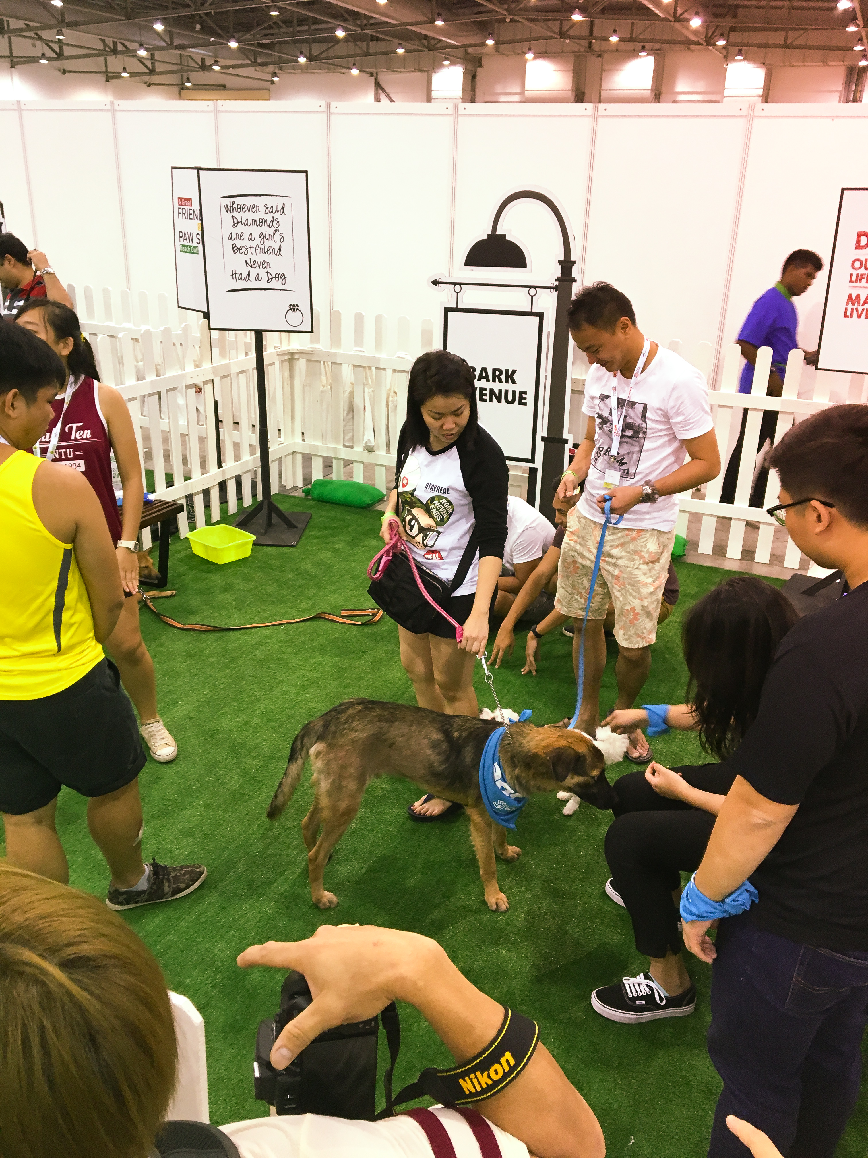 Pet EXPO 2016 - Singapore 8