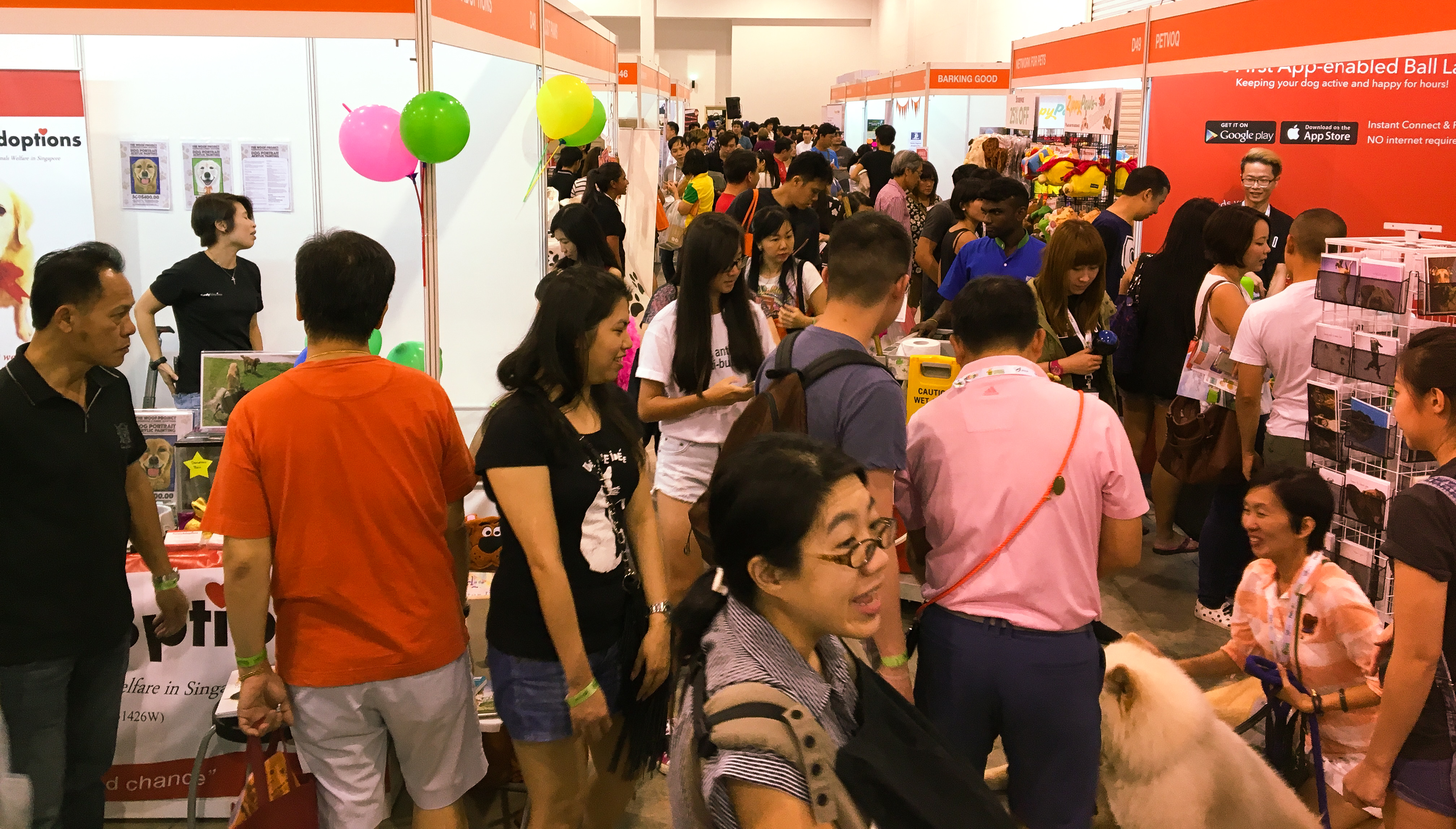 Pet EXPO 2016 - Singapore 14