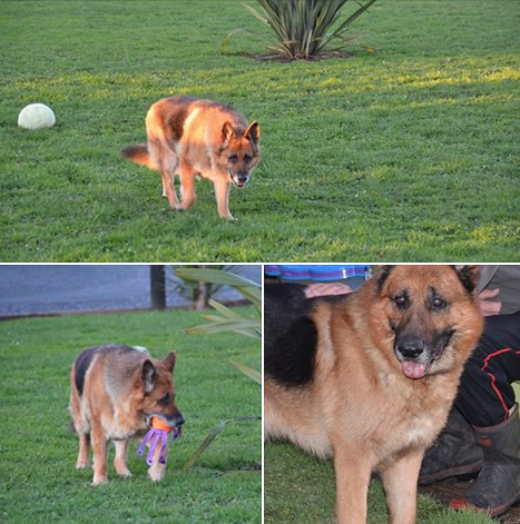 Nana Tui & Winstone