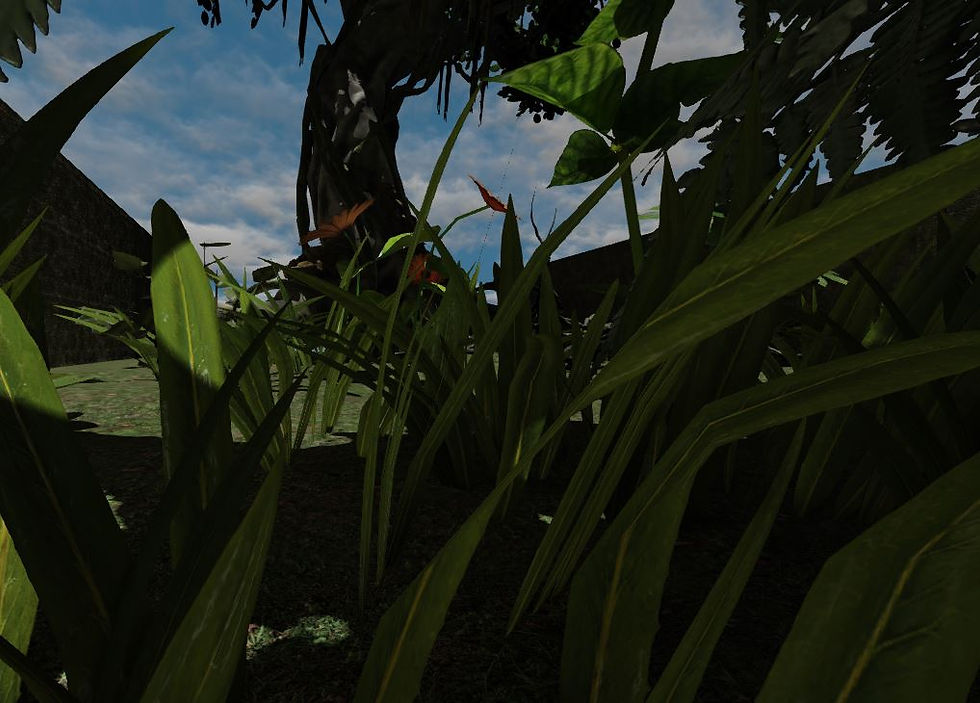 Through blades of grass.