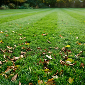 Seasonal Lawn Maintenance Package