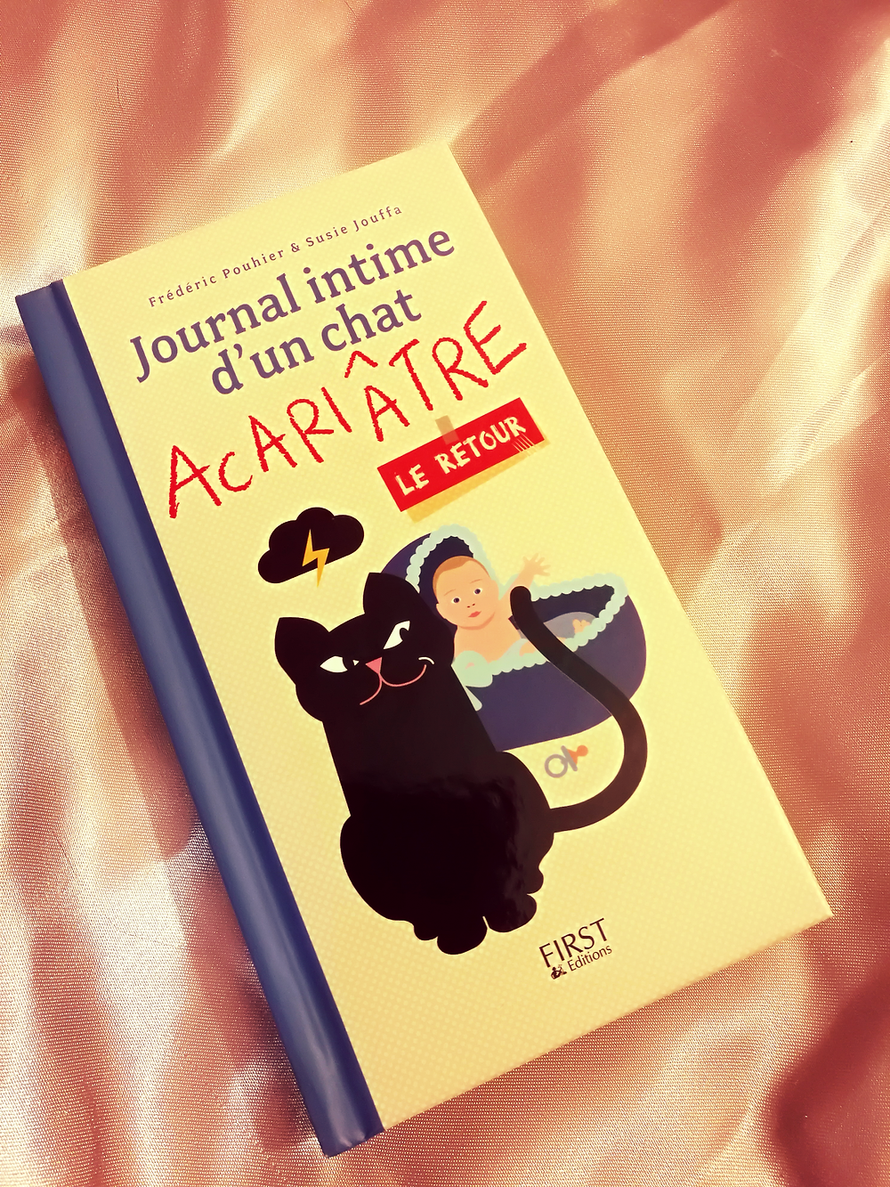 F Pouhier S Jouffa Journal D Un Chat Acariatre Le Retour F Pouhier S Jouffa Journal D Un Chat Acariatre Le Retour