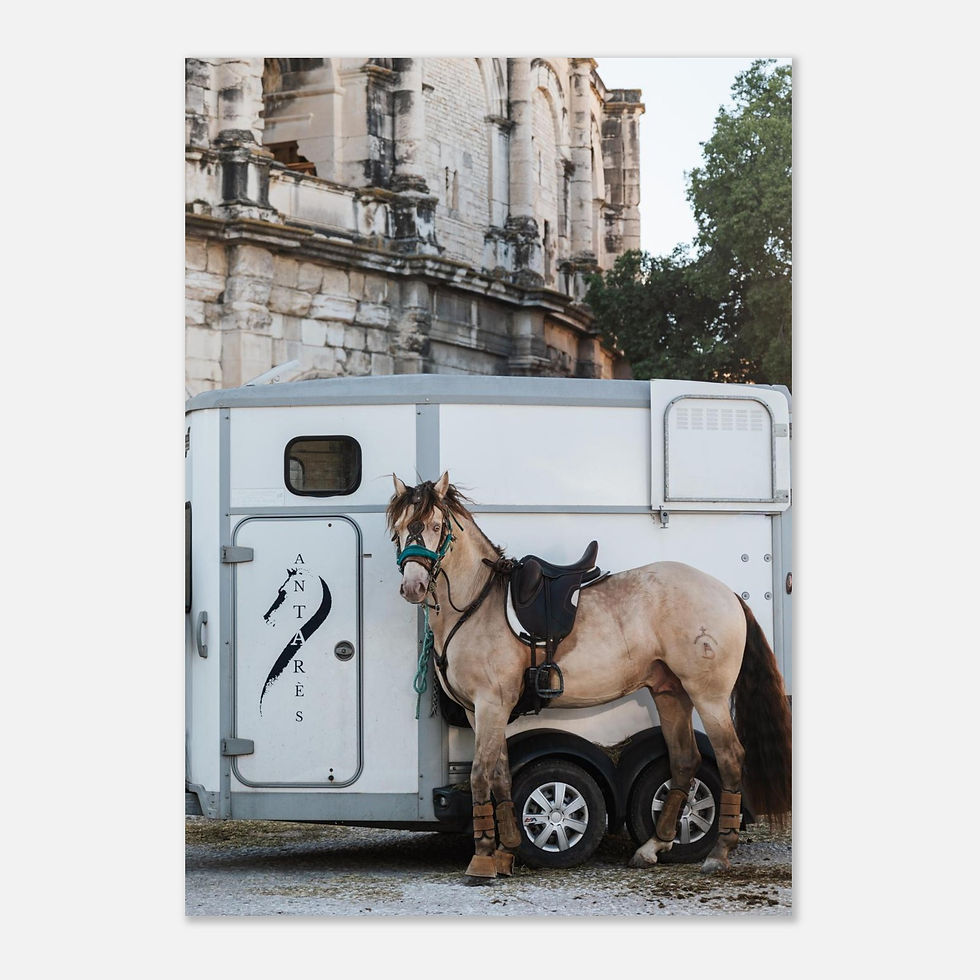Thumbnail: Destrier | Giclée Fine Art Print 