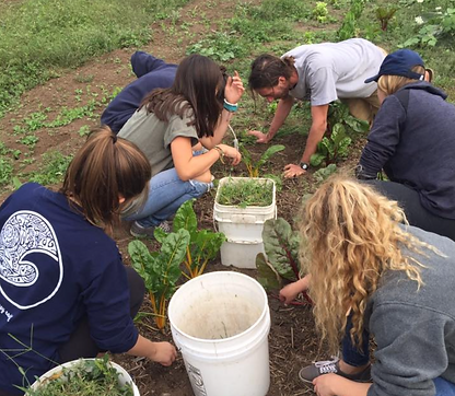 Screenshot 2023-04-15 at 1.10.42 PM.png