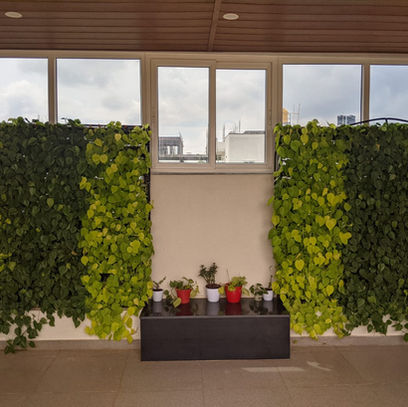 WhatsApp Image 2021-06-05 at 11.10.04 AM.jpeg