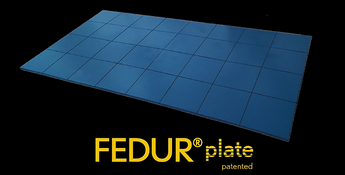 Fedur plate.