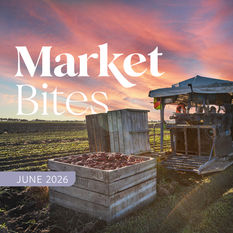 Foodservice Market Update NZ: Market Bites June 2026
