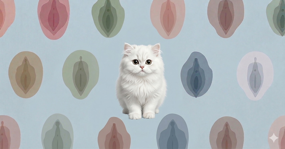 小陰唇手術前該知道什麼