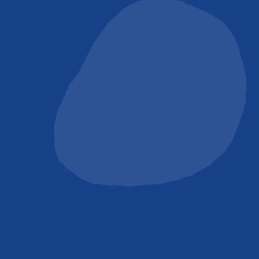 animation.gif
