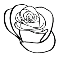 Rose Sketch E NB.png