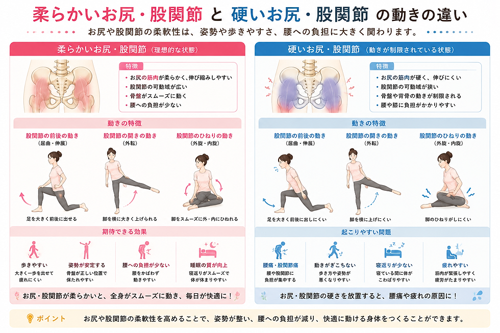柔らかいお尻・股関節と硬いお尻・股関節の動き比較図