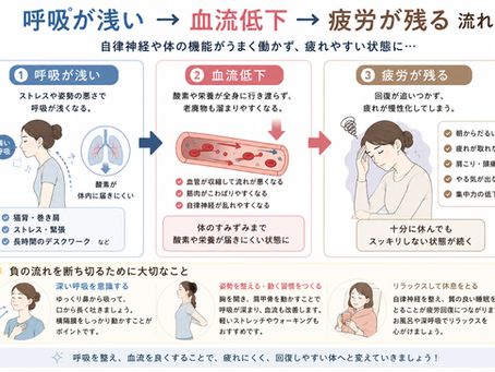 朝起きても疲れが取れない人は「呼吸の浅さ」が原因かもしれません
