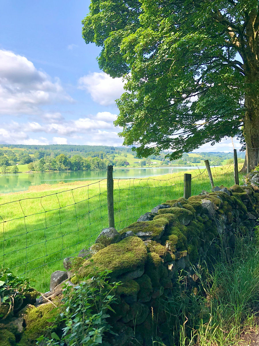 Stone wall with lake and trees in the background, surrounded by lush greenery