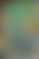 February book of the month: Reclaiming Your Community