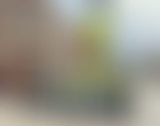 If you Give a Community a Transportation Academy...