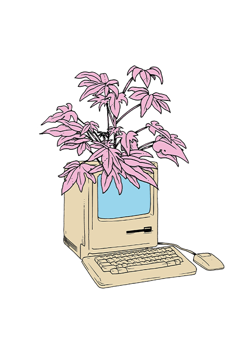 8_Portrait_Images_Block.png