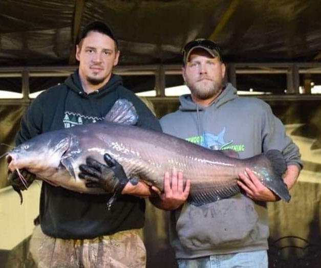 Blacksheep Catfishing