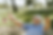 webseite bild home.png