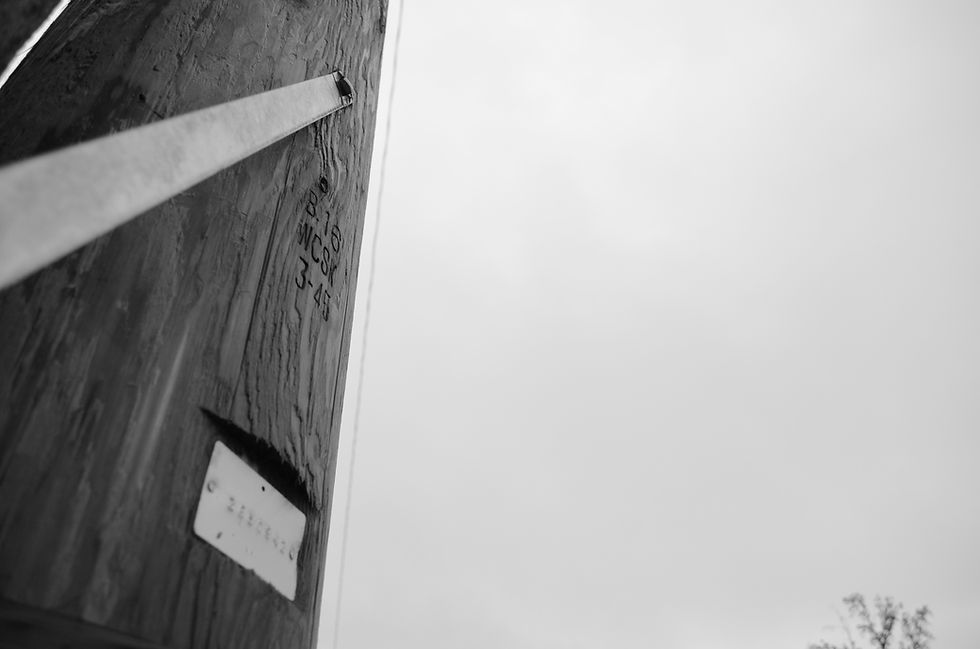 DSC_0008_1