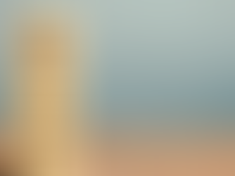 5 Essential SOPs Your Business Needs