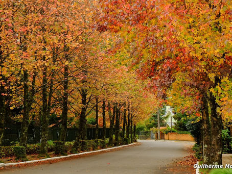 Férias em família: experiências únicas em Gramado