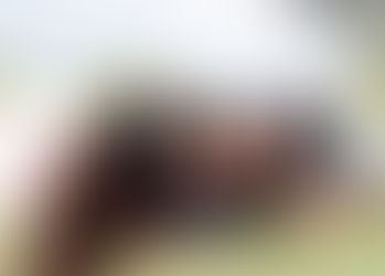 My family's battle against the dreaded Dengue disease