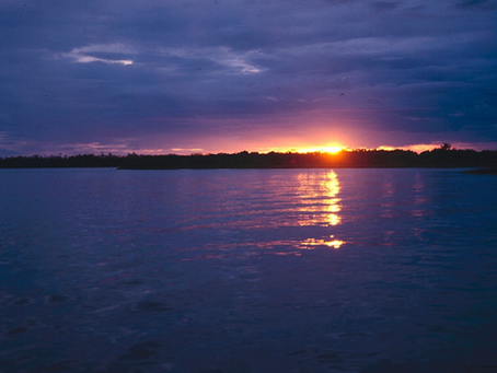 Pantanal