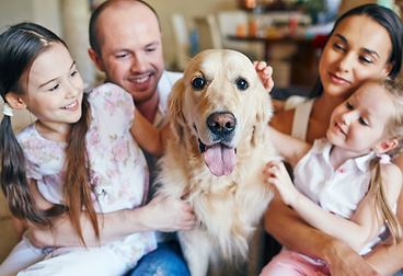 daprile-insurance-group-services-family.