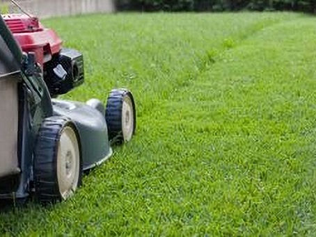 Aerate Lawn Service in Fort Saskatchewan: The Hidden Reset Button for Healthy Lawns