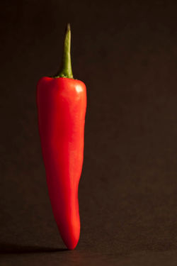 Sensuous Chilli
