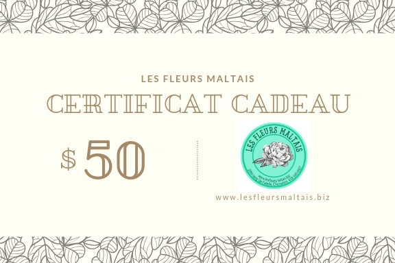Certificat Cadeau 50$