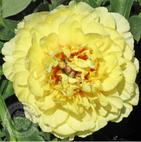 Garden Treasure