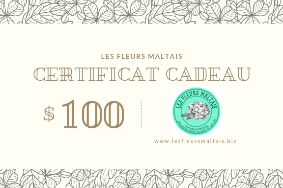 Certificat Cadeau 100$