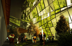 Urban Rejuvenation