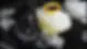 Brake-Fluid-Flush.webp
