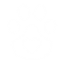 a-5.png