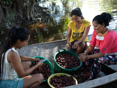 Unlock your radiance with Aguaje for Skin Health