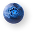 Blueberry_02.png