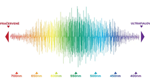 SVĚTELNÁ VÝŽIVA - kdy a jakému světlu se vystavovat?