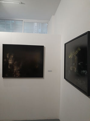 ÁNIMAS-LA MUESTRA3.jpg