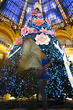 GALERIES LAFAYETTE - CHRISTMAS TREE