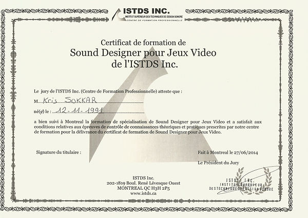 Diplome%20ISTDS_edited.jpg