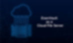 EisenVault Cloud File Server