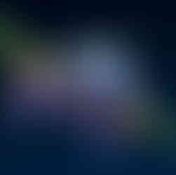 specie rare nelle foresta